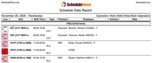 Daily Report Example